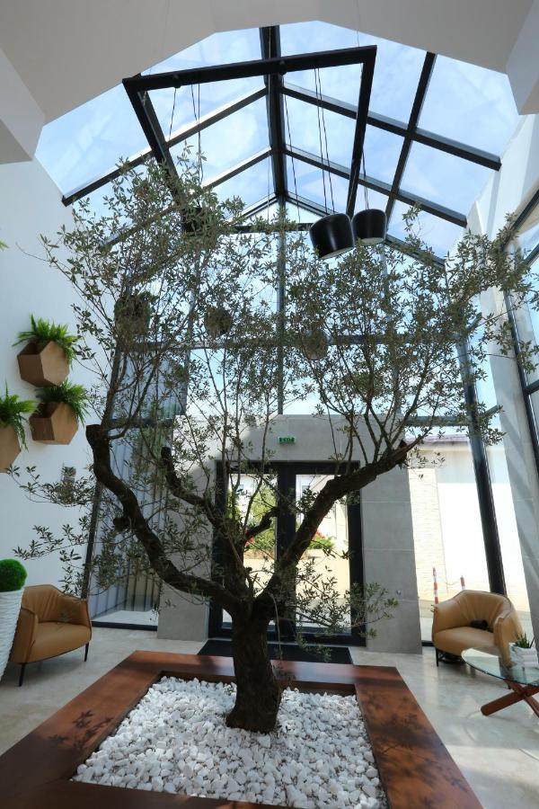Valentino Rooms Focşani Exteriér fotografie